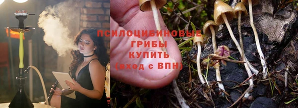меф Арсеньев