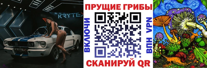Псилоцибиновые грибы ЛСД  наркота  Лодейное Поле 